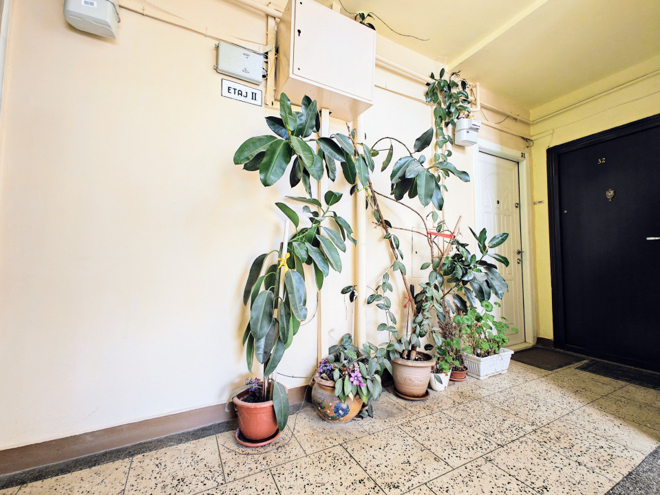 COMISION 0% Apart 2 camere/etaj 2/Calea Dumbrăvii-Dioda-Regina Maria-Centru